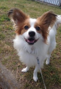 1d5144de-3a2a-4360-ae7d-b2b124079366